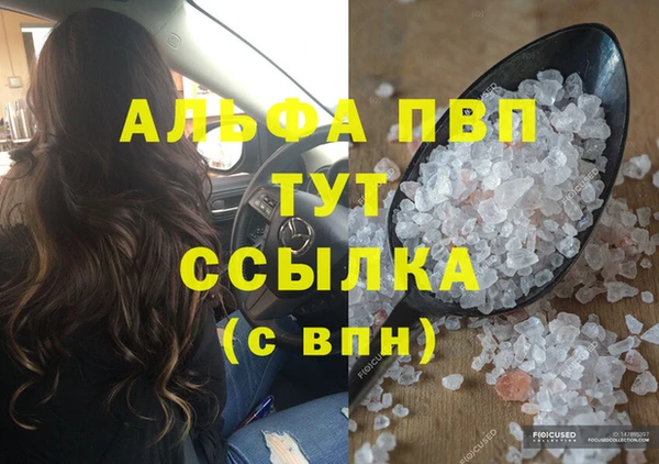 сатива Аркадак