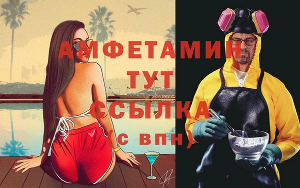 сатива Аркадак