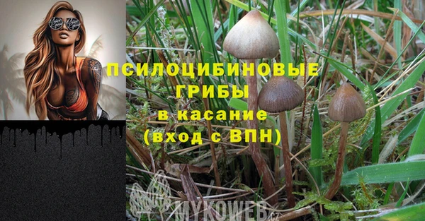 сатива Аркадак