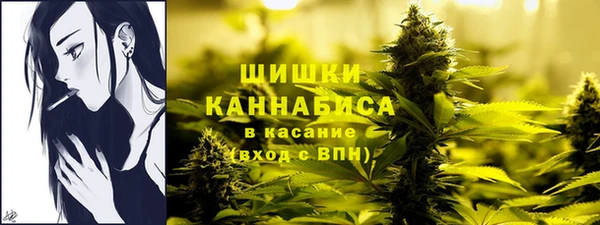 сатива Аркадак