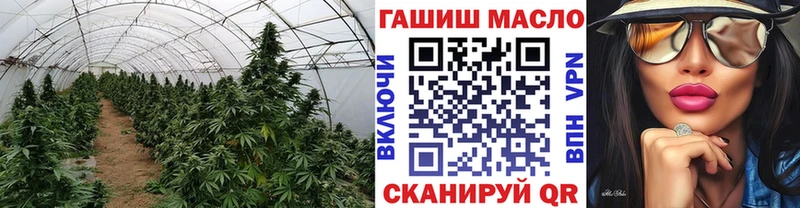 ТГК Wax  закладки  Нязепетровск 