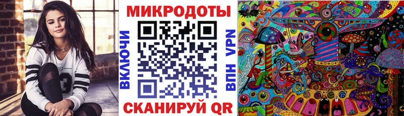 где купить   Нязепетровск  Галлюциногенные грибы Psilocybe 